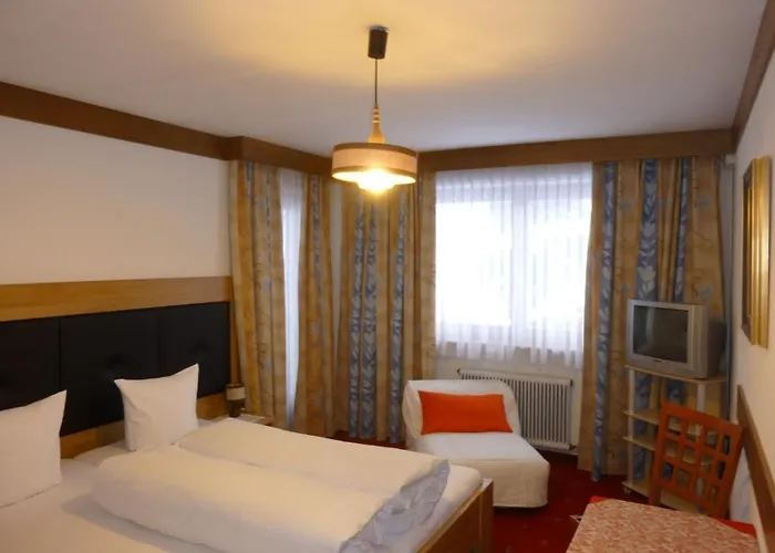 Hotel-pension Tasma 2* 부첸